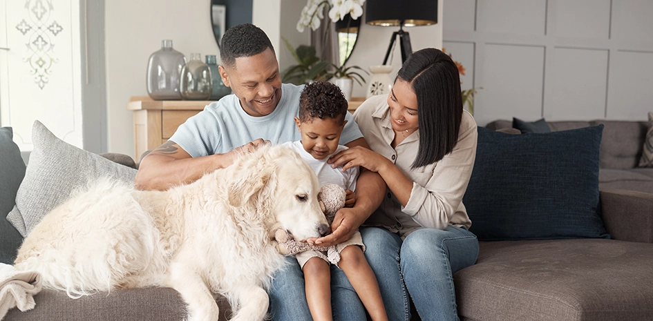 Indoor Air Quality banner